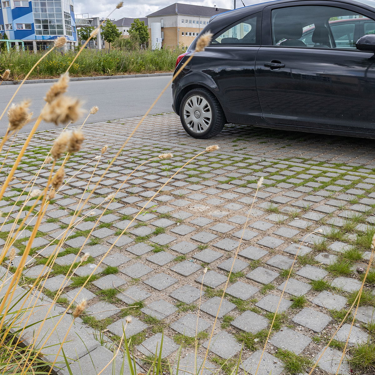 IBF Optiloc Classic 30x30x10 cm Græsarmering