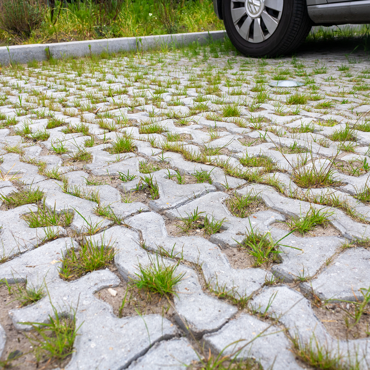 IBF SF-Coloc 8 cm Grå Græsarmering 25