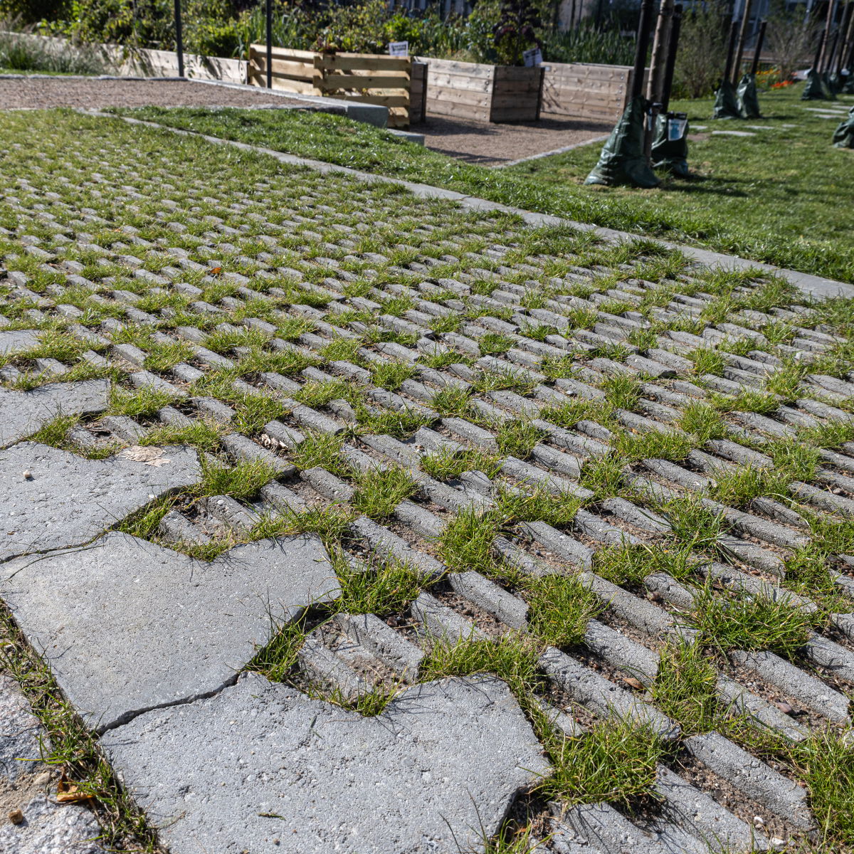 IBF SF-Sten 8,5 cm Grå Græsarmering G-65