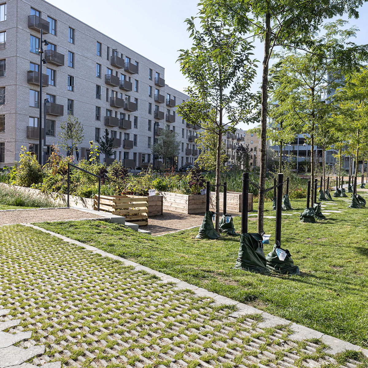 IBF SF-Sten 8,5 cm Grå Græsarmering G-65