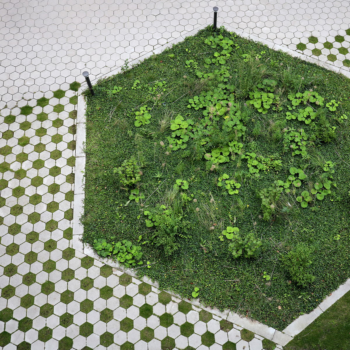 IBF Sekskantede fliser Bellahøj 32x32x5 cm